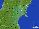 宮城県のアメダス実況(日照時間)(2022年02月13日)