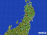 東北地方のアメダス実況(気温)(2022年05月11日)