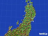 東北地方のアメダス実況(気温)(2022年09月26日)