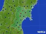 宮城県のアメダス実況(日照時間)(2022年11月06日)