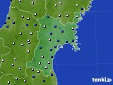 宮城県のアメダス実況(風向・風速)(2023年01月05日)