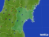 宮城県のアメダス実況(積雪深)(2023年01月26日)