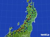 東北地方のアメダス実況(積雪深)(2023年02月05日)