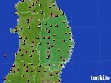 岩手県のアメダス実況(気温)(2023年08月01日)