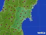 2023年08月08日の宮城県のアメダス(気温)