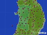 秋田県のアメダス実況(気温)(2023年08月11日)