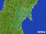 宮城県のアメダス実況(気温)(2023年08月20日)