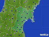 宮城県のアメダス実況(風向・風速)(2023年11月20日)