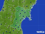 2023年11月28日の宮城県のアメダス(風向・風速)