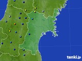 宮城県のアメダス実況(積雪深)(2024年01月16日)
