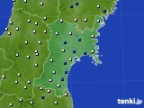 宮城県のアメダス実況(風向・風速)(2024年04月11日)