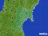 宮城県のアメダス実況(風向・風速)(2024年04月23日)