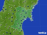 宮城県のアメダス実況(風向・風速)(2024年04月25日)