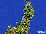 アメダス実況(気温)(2024年05月11日)