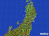 アメダス実況(気温)(2024年05月18日)