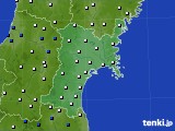 宮城県のアメダス実況(風向・風速)(2024年07月09日)