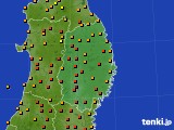 2024年08月09日の岩手県のアメダス(気温)
