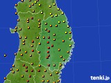 岩手県のアメダス実況(気温)(2024年08月20日)
