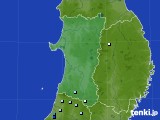 秋田県のアメダス実況(降水量)(2024年08月25日)