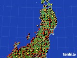 東北地方のアメダス実況(気温)(2024年09月11日)