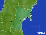 2024年11月11日の宮城県のアメダス(日照時間)