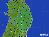 岩手県のアメダス実況(気温)(2024年11月19日)