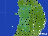 秋田県のアメダス実況(気温)(2024年11月19日)