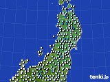 東北地方のアメダス実況(気温)(2024年11月20日)