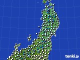 東北地方のアメダス実況(気温)(2024年11月24日)