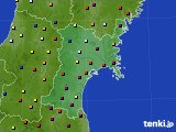 宮城県のアメダス実況(日照時間)(2025年05月03日)