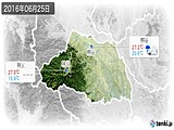 2016年06月25日の埼玉県の実況天気