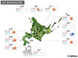 2018年05月29日の北海道地方の実況天気