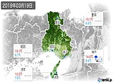 実況天気(2019年03月19日)