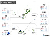 実況天気(2020年02月11日)