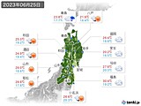 実況天気(2023年06月25日)