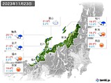 実況天気(2023年11月23日)