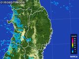 2015年01月08日の岩手県の雨雲レーダー