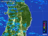 2015年12月29日の岩手県の雨雲レーダー