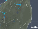 2017年11月29日の福島県の雨雲レーダー