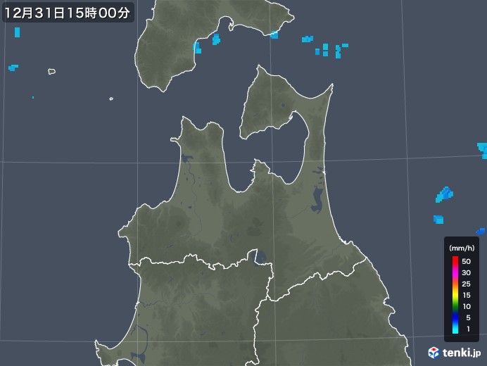 青森県の雨雲レーダー(2017年12月31日)