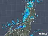 2018年01月20日の東北地方の雨雲レーダー