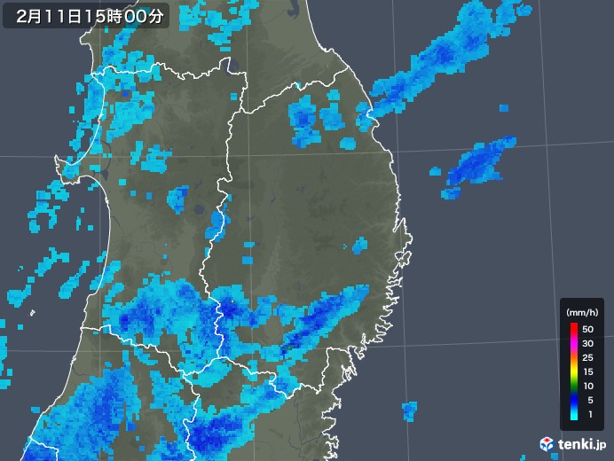 岩手県の雨雲レーダー(2018年02月11日)
