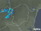 2018年07月31日の栃木県の雨雲レーダー