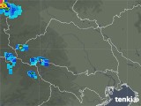 2018年08月14日の埼玉県の雨雲レーダー