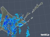 2018年11月19日の道東の雨雲レーダー