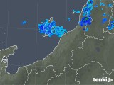 2018年11月21日の新潟県の雨雲レーダー