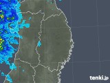 2018年11月25日の岩手県の雨雲レーダー