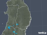 2018年12月20日の岩手県の雨雲レーダー