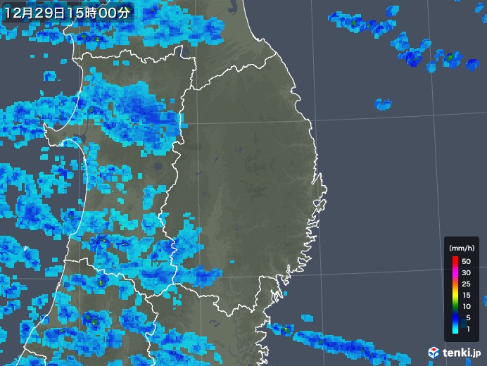 岩手県の雨雲レーダー(2018年12月29日)