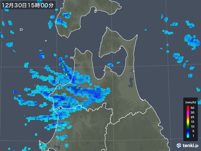 青森県の雨雲レーダー(2018年12月30日)